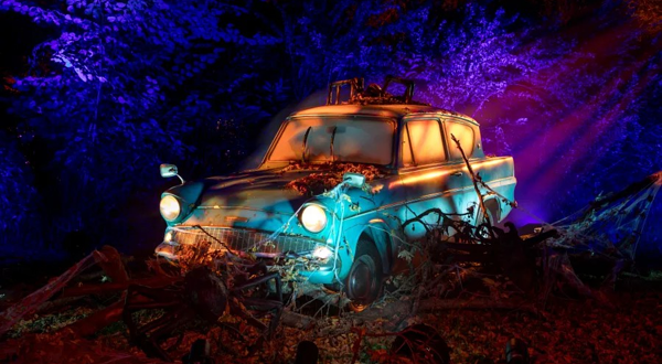 《哈利‧波特™：禁林体验》巡回展 芝加哥站