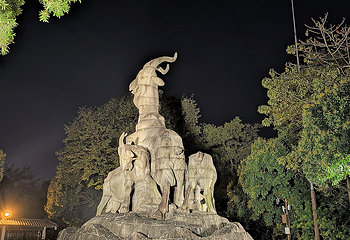 越秀公园第 272 张图片