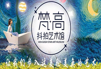 梵高抖拍艺术馆第 11 张图片