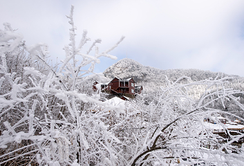 襄阳横冲国际滑雪场第 12 张图片