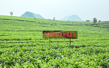 积庆里红茶谷第 56 张图片