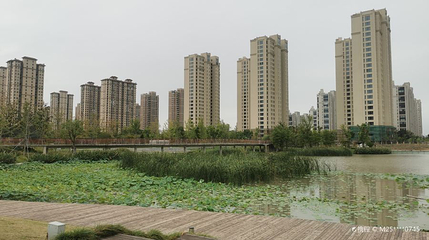 嘉善中央公园第 1 张图片