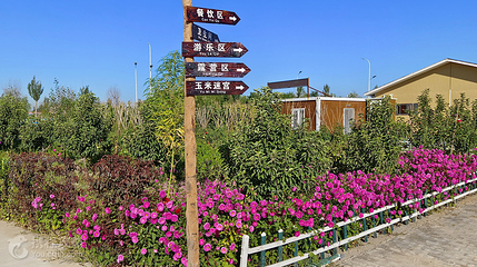 李家小苑第 8 张图片
