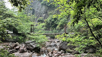 紫微山国家级森林公园