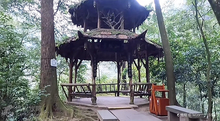 青城前山-天然图画第 4 张图片