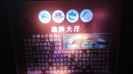 雄狮大厅第 1 张图片
