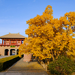 阳关景区