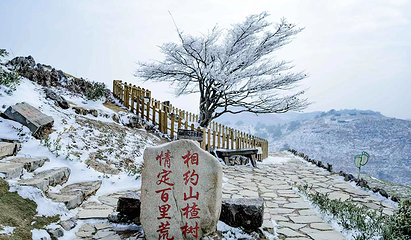 百里荒滑雪场第 8 张图片