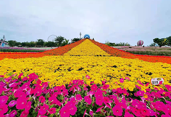 音乐百花谷第 48 张图片