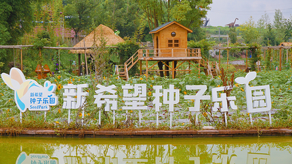 东部新区种子乐园第 29 张图片