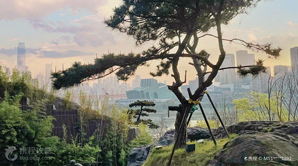 呼归石花阶公园第 3 张图片