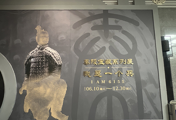 秦始皇帝陵博物院(兵马俑)第 675 张图片