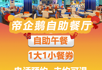 珠海长隆企鹅酒店•帝企鹅自助餐厅•儿童岛•真企鹅第 31 张图片