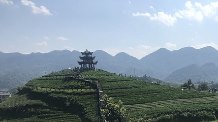 伍家台贡茶文化旅游区-观景台第 1 张图片