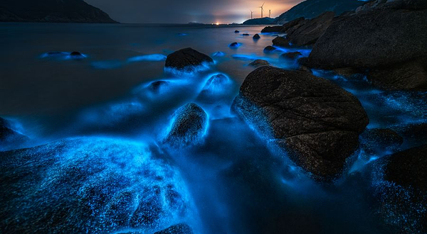 蓝眼泪观景点(长江澳海滩)