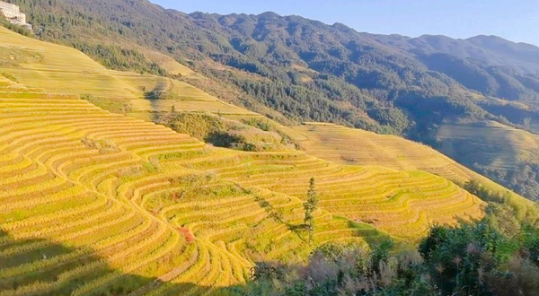 西山韶乐观景点