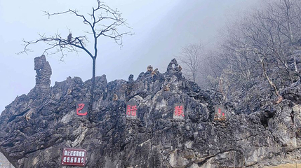 巴腊猴山第 1 张图片