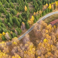 乌苏佛山森林公园