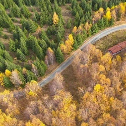 乌苏佛山森林公园