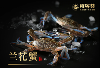 雍容荟帝王蟹活龙虾自助(IFS黑金店)第 6 张图片