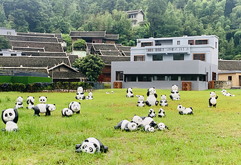 牙溪生态农场第 12 张图片