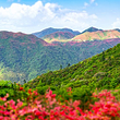 绿林山风景区