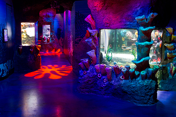 墨尔本水族馆第 44 张图片
