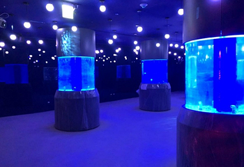 潮境智能海洋馆第 8 张图片