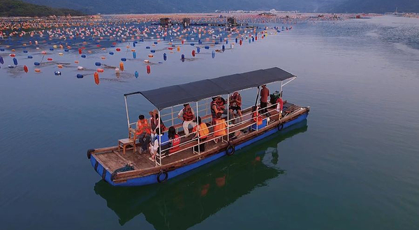 南澳岛出海捕鱼·海钓俱乐部