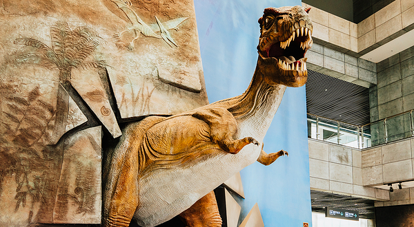 中国古生物博物馆