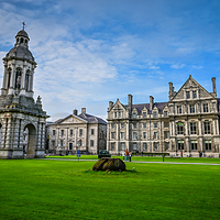 都柏林圣三一学院