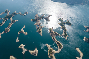 仙岛湖旅游度假区第 11 张图片