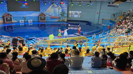 兰州海洋公园第 7 张图片