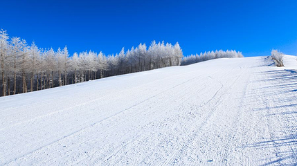 明月岛滑雪场第 1 张图片