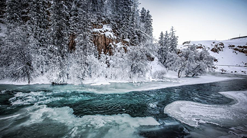 巩乃斯国家森林公园