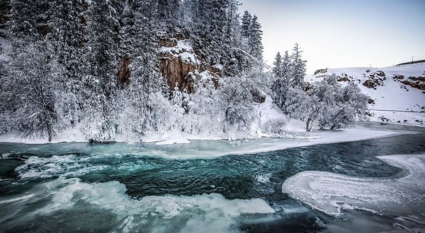 巩乃斯国家森林公园