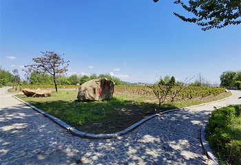 太阳岛(鸭绿江国家级风景名胜区店)第 26 张图片