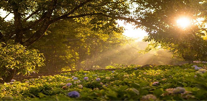 大理苍山云上度假村