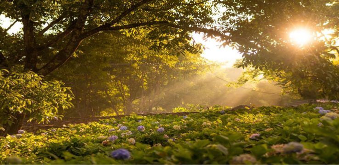 大理苍山云上度假村