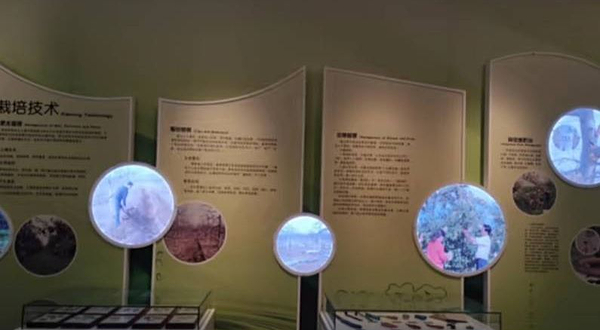 洛川苹果博览馆