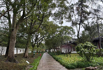 秋霞圃第 10 张图片
