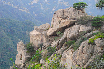 沂蒙山云蒙景区(蒙山国家森林公园)第 38 张图片