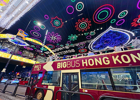 Big Bus随上随下巴士九龙游