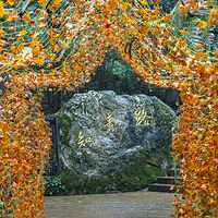 云山国家森林公园