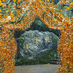 云山国家森林公园