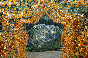 云山国家森林公园