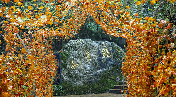 云山国家森林公园