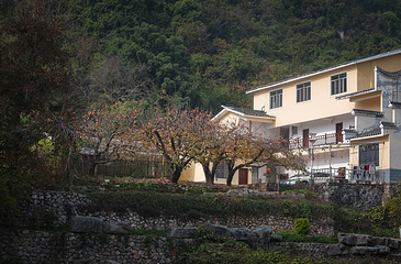 恭城红岩村第 10 张图片