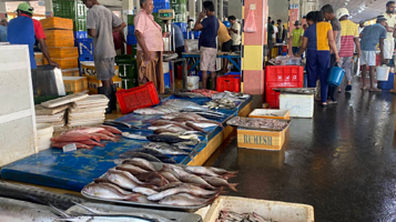 尼甘布中心鱼市场