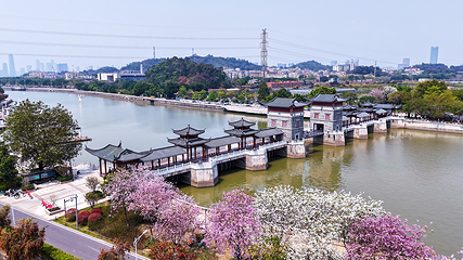 长洲岛第 4 张图片